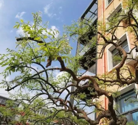 國(guó)務(wù)院發(fā)文“雙創(chuàng)”要升級(jí)了！點(diǎn)擊查收最新版本~