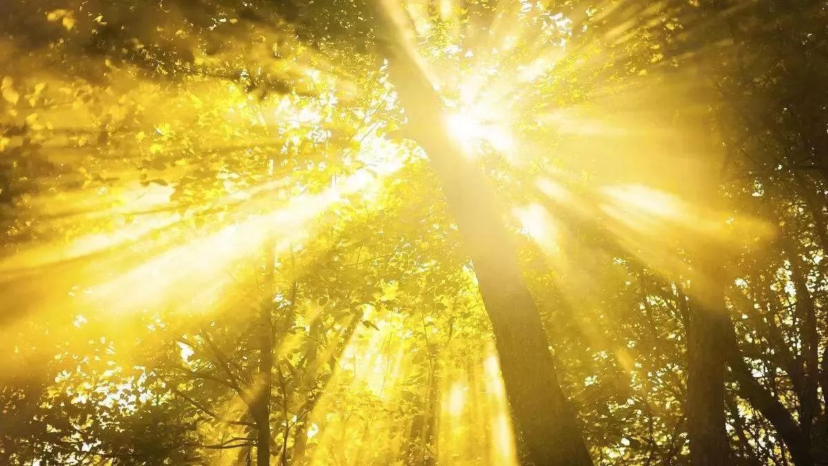 在你心中北交院是什么顏色？