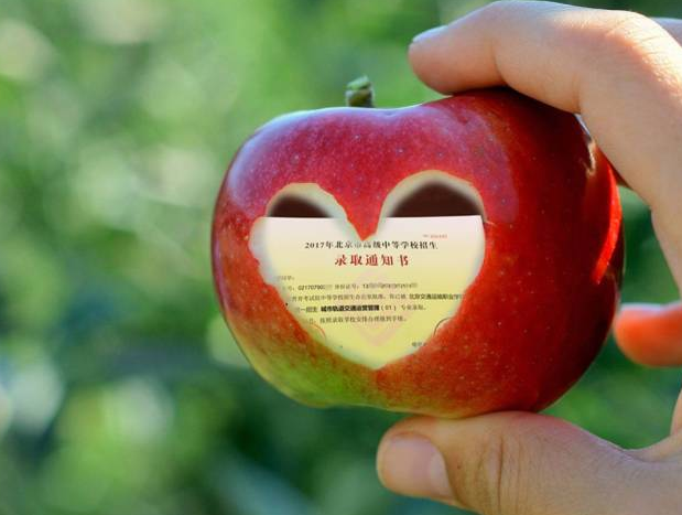 『中招』致北交院“新寵”| 你的錄取通知書(shū)已在路上啦~