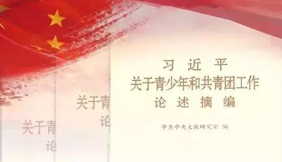 在習近平總書記青年工作思想指引下砥礪前行！