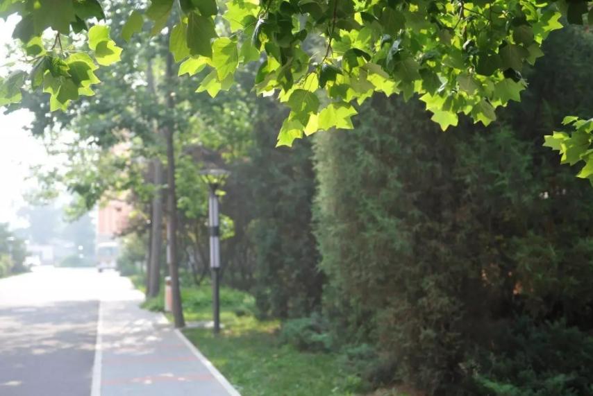 報(bào)到須知 | 收到通知書(shū)了！趕緊看看自己哪天報(bào)到？