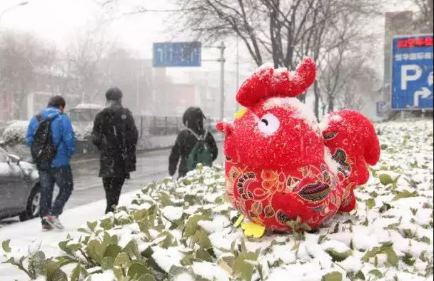 春雪落北京 | 跟著交院一起掃雪吧！