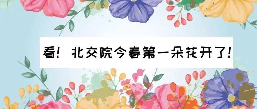 走～集合！我帶你們去北京交通運輸職業學院看校花！
