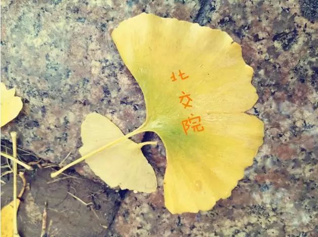 「百變北交院」不知道起什么題目，就是很精彩！