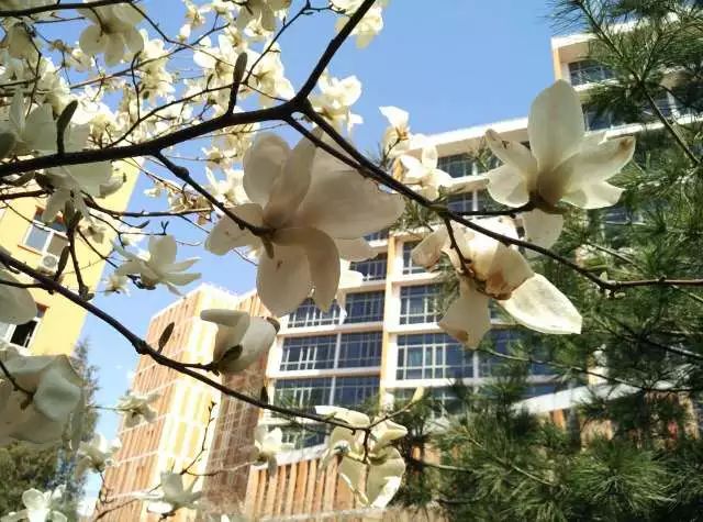 學生發聲 | A→Z，愛上北交院的26個理由