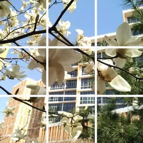 @北交院小伙伴，一起來拼圖！用九宮格拼出北交院的美