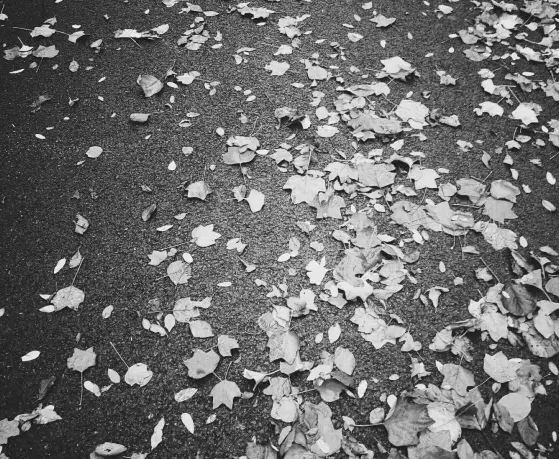 學(xué)院瞬間之美 | 學(xué)生隨手拍比賽投票