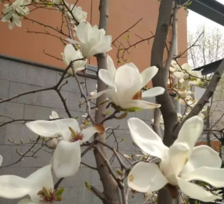 『中招·補(bǔ)錄』關(guān)于北京交通行業(yè)最熱門的專業(yè)選擇開(kāi)始了！