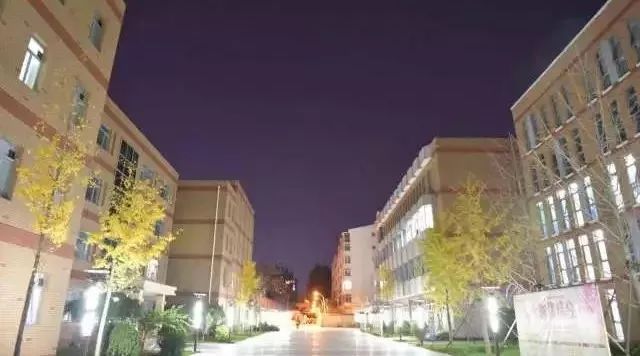 【編輯部的故事】宇宙不重啟 我們不休息