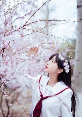 高清完整版独播剧在线播放全集免费
